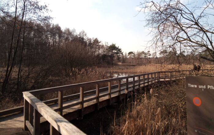 bruecke-elmter-schwalbruch-spatzieren