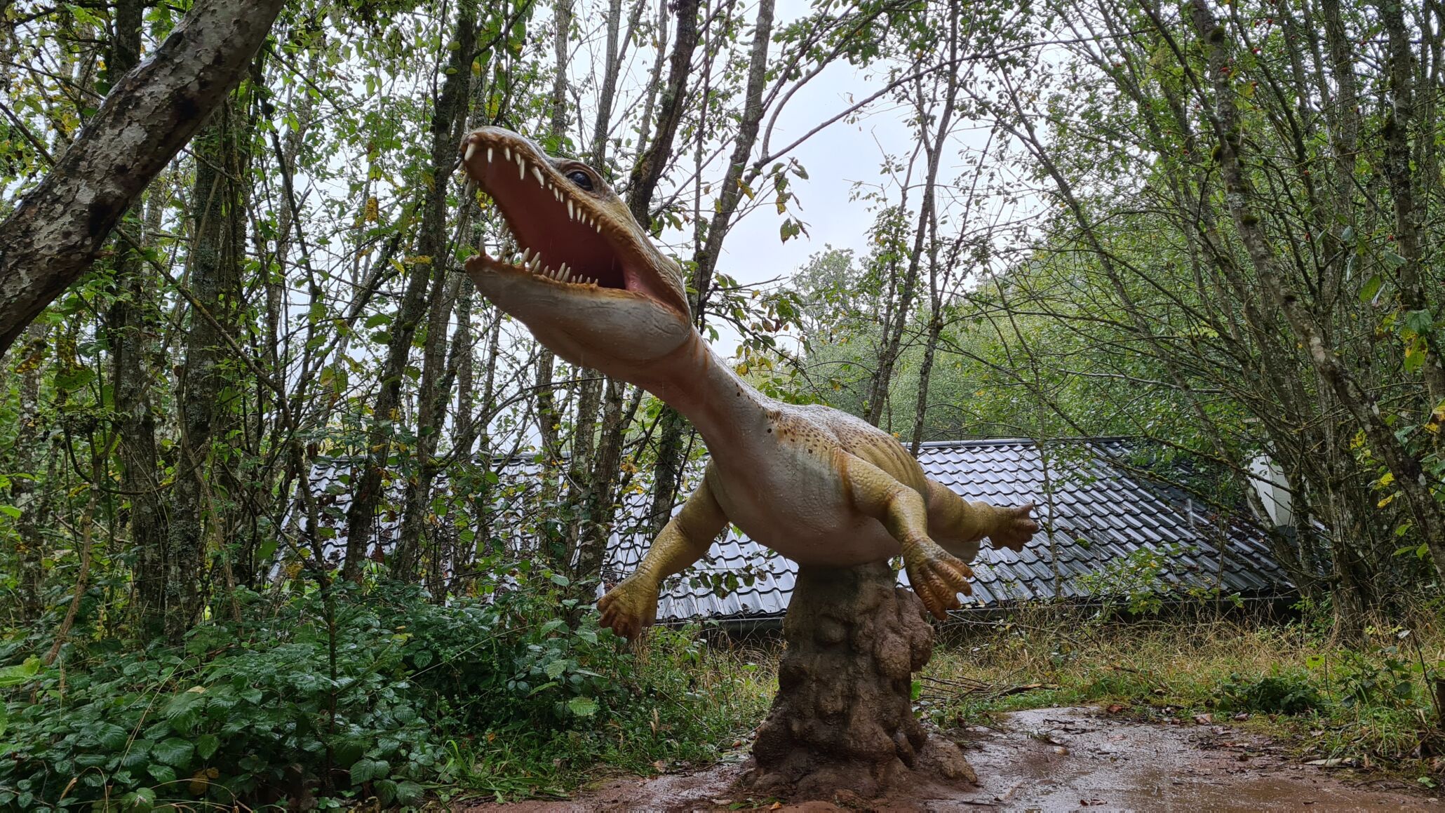 Dinosaurier hautnah erleben Ein lehrreiches Familienerlebnis