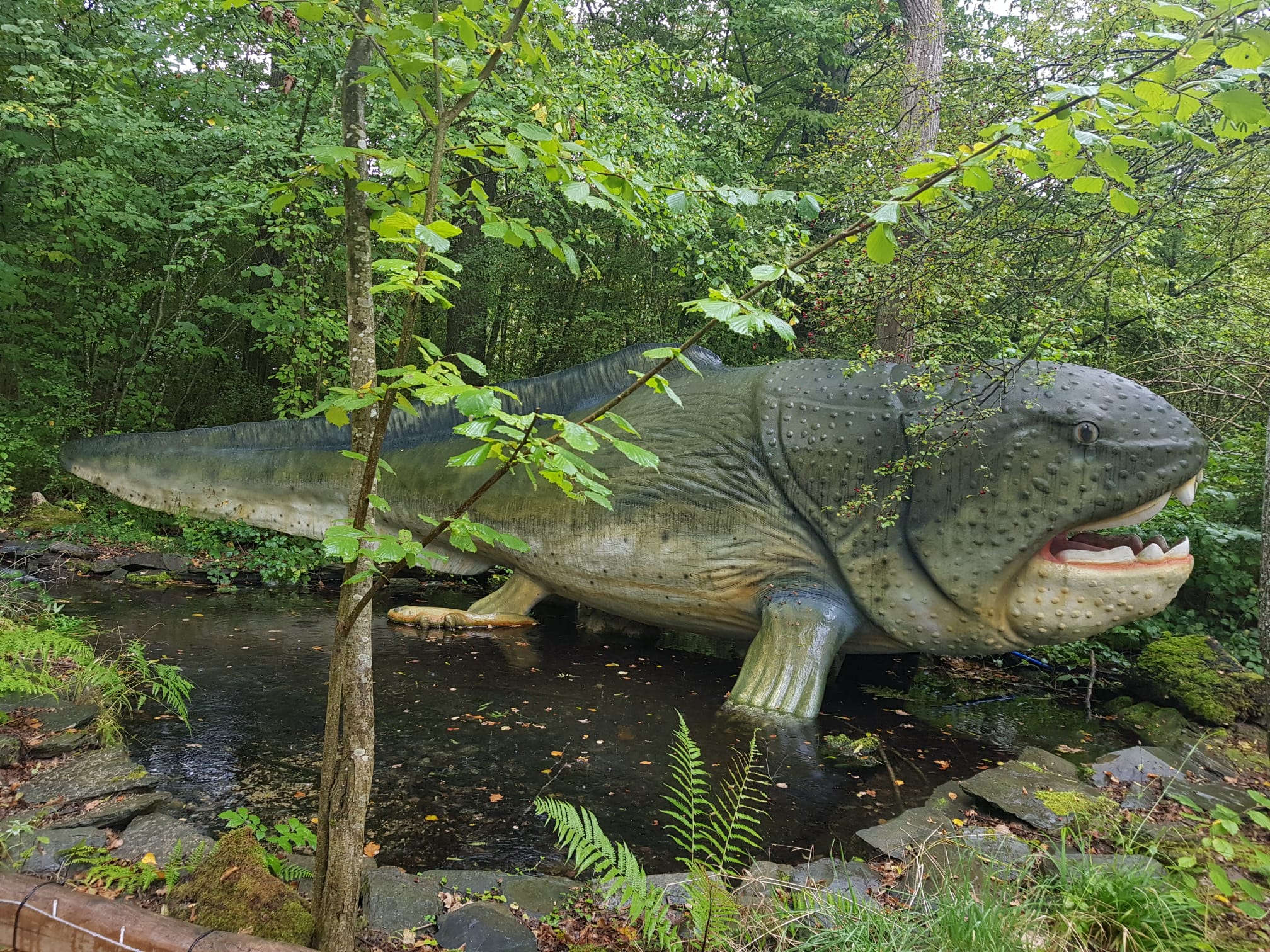 Dinosaurier in der Teufelsschlucht in Irrel Eine Reise in die Urzeit