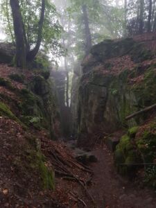 Wandern in Irrel auf der Teufelsschlucht