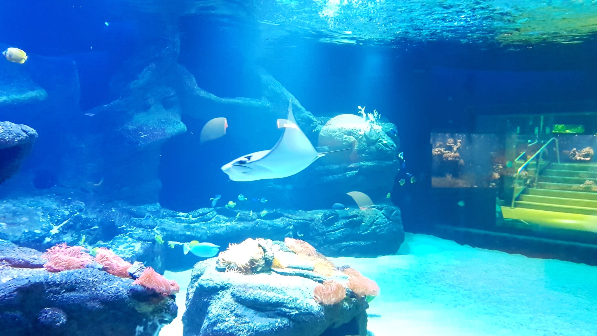 Wegweiser und U-Bahn-Station Nordpark/Aquazoo in Düsseldorf