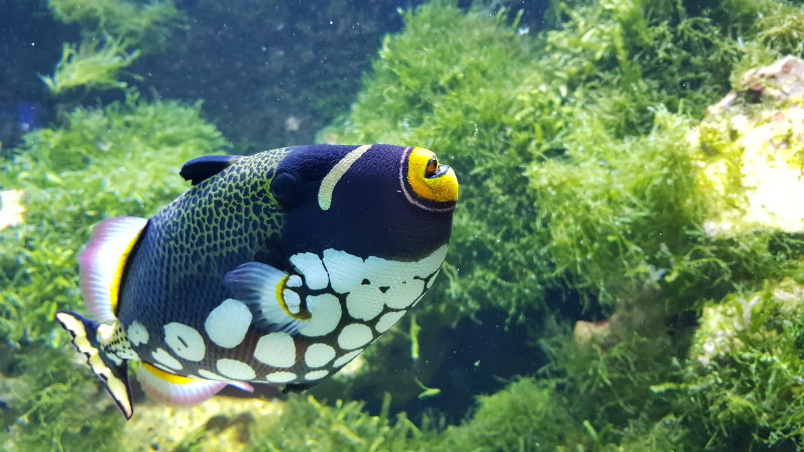 Eingangsbereich mit Kasse im Aquazoo Löbbecke Museum Düsseldorf